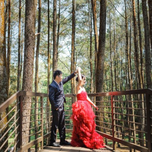 4. Background STD A SUSANTO-OLIVIA
