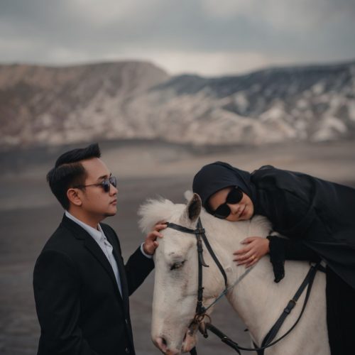 AFIF-NISA11
