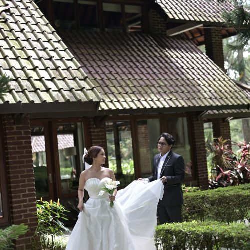 ARY_3510 CHRISTINE-TRI