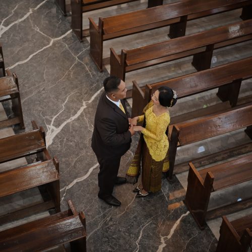 BEGAWAN-FHIA3_1