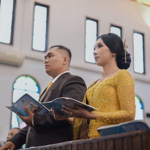 BEGAWAN-FHIA8_1