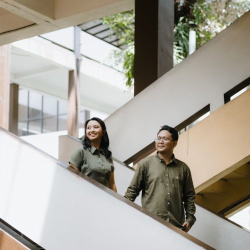 EDIT CAM 1_7 NOVI DOM