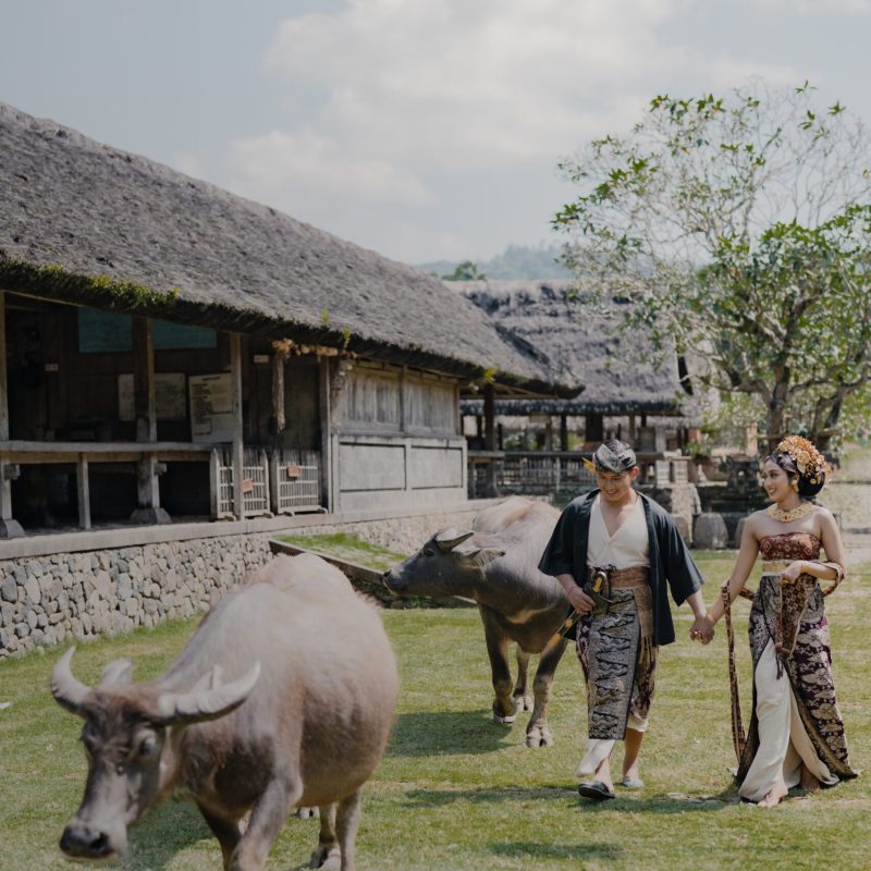 GANTi SCHEDULE 2 rama sagung