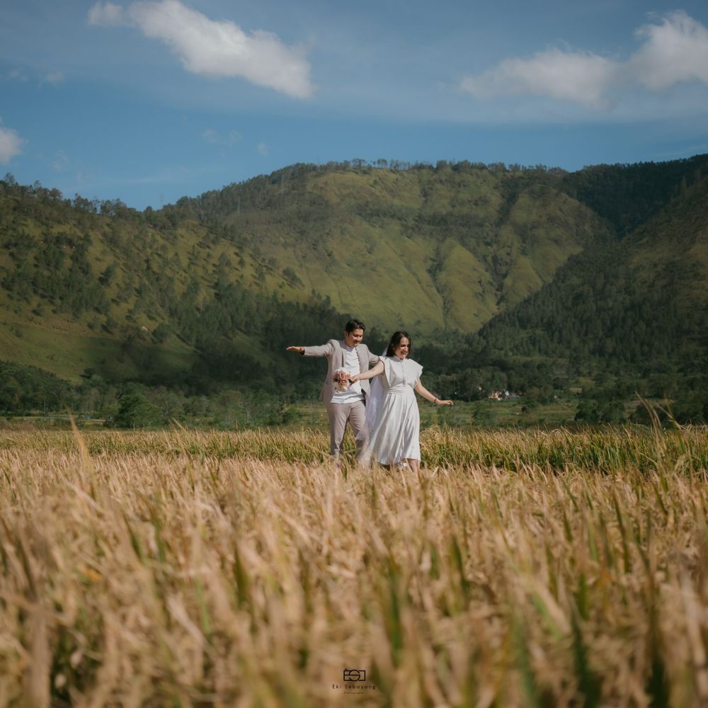 PAHALA-DESI27_1