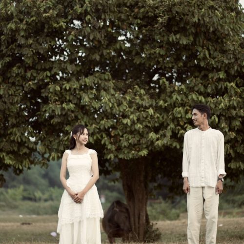 Pw02929 adit (6)