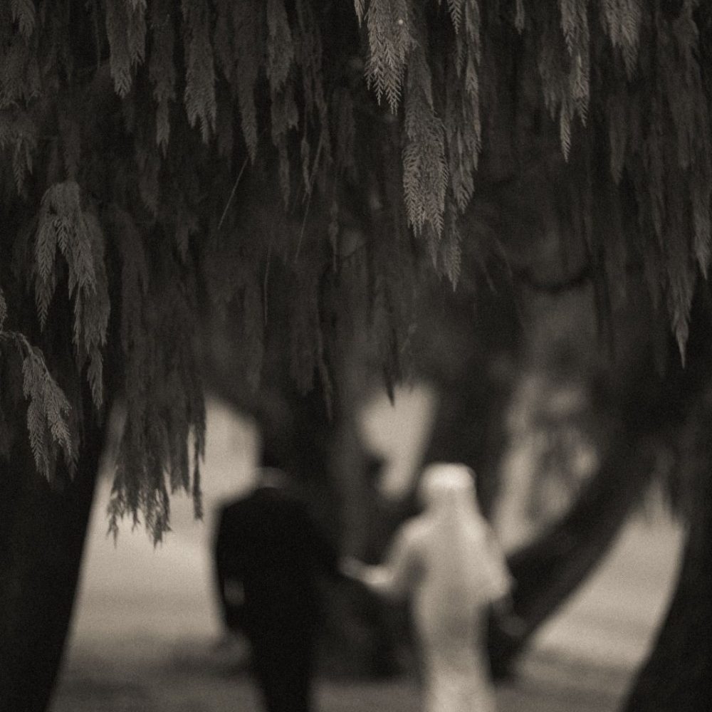 TY HENDRA-MAY