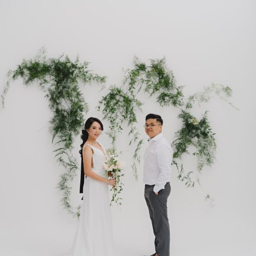 VMPrewedd-412 Vito