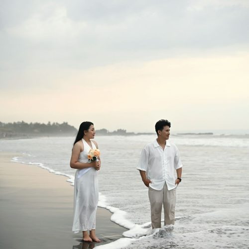 adventwo novita thumbnail